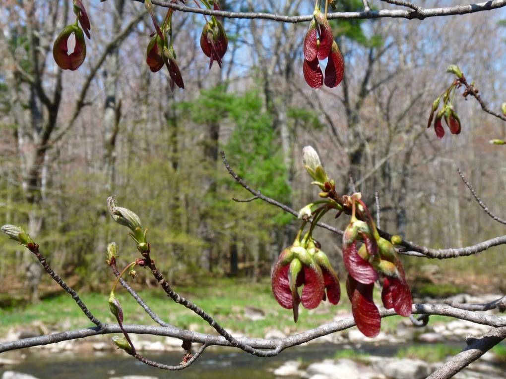 Jeff the quiet/Wikimedia Commons/CC0 BY 1.0 Universal Public Domain Dedication